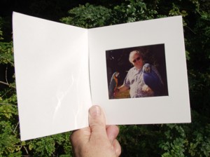 Polaroid picture of guests holding parrots