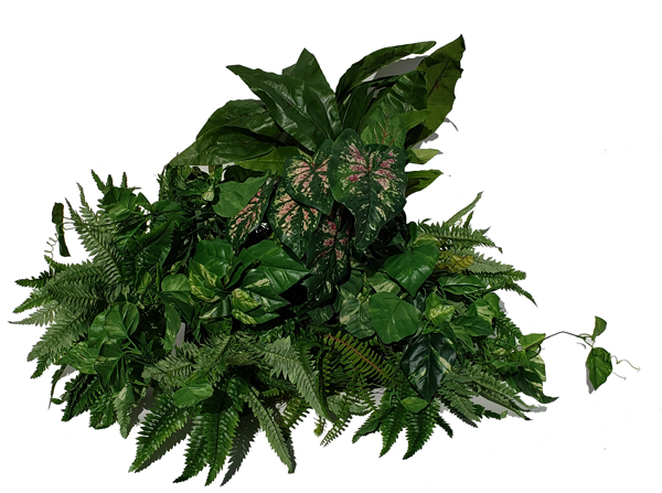 Silk Plants display for rent