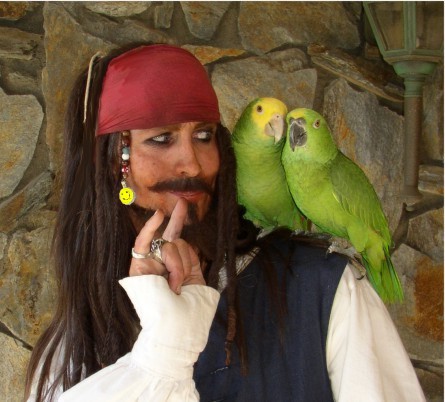 Parrot Jack a Johnny Depp look-alike pirate entertainer for birthday parties